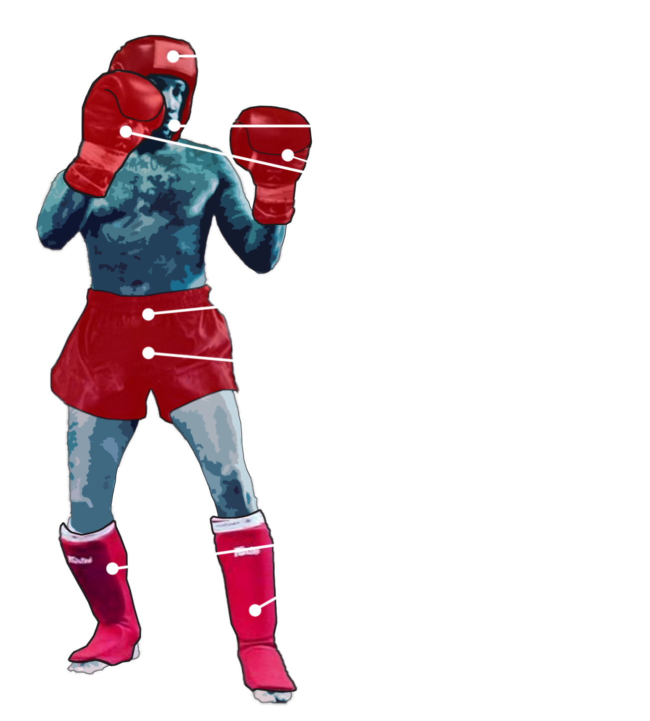 Gear Diagram